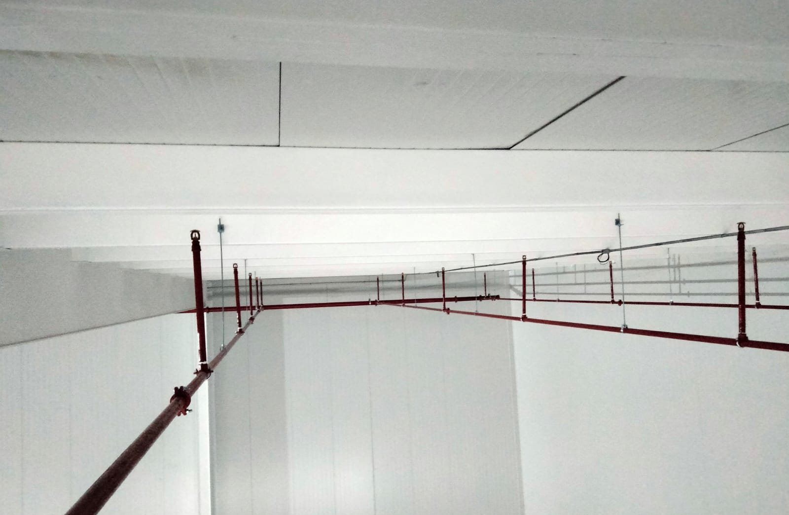 Red automatic sprinkler branch lines installed under a white roof.